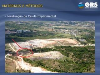 MATERIAIS E MÉTODOS - Localização da Célula Experimental 