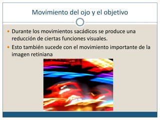 Movimiento del ojo y el objetivoDurante los movimientos sacádicos se produce una reducción de ciertas funciones visuales.Esto también sucede con el movimiento importante de la imagen retiniana