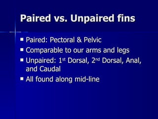 Paired vs. Unpaired fins Paired: Pectoral & Pelvic Comparable to our arms and legs Unpaired: 1 st  Dorsal, 2 nd  Dorsal, Anal, and Caudal All found along mid-line 