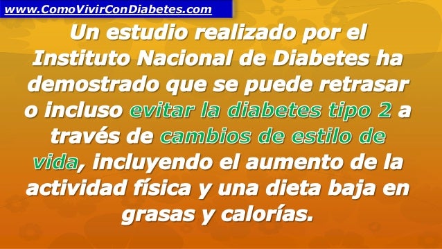 Como se Produce La Diabetes Como se Produce La Diabetes