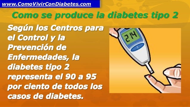 Como se Produce La Diabetes Como se Produce La Diabetes