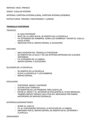 NERVIOS: VAGO, FRENICO

VENAS: YUGULAR INTERNA

ARTERIAS: CARÓTIDA EXTERNA (CARA), CARÓTIDA INTERNA (CEREBRO)

ESTRUCTURAS: TIROIDES, PARATIROIDES Y LARINGE



TRIANGULO POSTERIOR

TRAPECIO:

       -    EL MAS POSTERIOR
       -    NACE DE LA LÍNEA NUCAL SE INSERTA EN LA ESCÁPULA
       -    FX: EXTENSIÓN DE HOMBROS, SUBIR LOS HOMBROS Y MOVER EL CUELLO
            HACIA ATRÁS
       -    INERVADO POR EL NERVIO ESPINAL O ACCESORIO


ESPLENIO:

       -    MAS SUPERIOR DEL TRIANGULO POSTERIOR
       -    SE INSERTA EN LA NUCA Y EN LAS APÓFISIS ESPINOSAS DE ALGUNAS
            VÉRTEBRAS
       -    FX: EXTENSIÓN DE LA CABEZA
       -    NERVIO ESPINAL O ACCESORIO


ELEVADOR DE LA ESCÁPULA:

       -    SE INSERTA EN LA ESCÁPULA
       -    ELEVA LA ESCÁPULA Y LOS HOMBROS
       -    NERVIO ESPINAL


ESCALENOS:

       -    POSTERIOR, MEDIO Y ANTERIOR
       -    ELEVAN CAJA TORÁCICA
       -    SE INSERTAN EN LAS PRIMERAS TRES COSTILLAS
       -    ENTRE EL MEDIO Y EL ANTERIOR SE ENCUENTRA EL PLEXO BRAQUIAL,
            TAMBIÉN NERVIO FRENICO SALE POR AHÍ. INERVADOS POR RAMAS
            ANTERIORES DE NERVIOS ESPINALES


ESTERNOCLEIDOMASTOIDEO:

       -    DIVIDE AL CUELLO
       -    FX: AL CONTRAERSE PROVOCA LA ROTACIÓN DE LA CABEZA
       -    INERVADO POR EL NERVIO ESPINAL SE INSERTA EN EL ESTERNÓN Y
            CLAVÍCULA

OMOHIOIDEO:
 