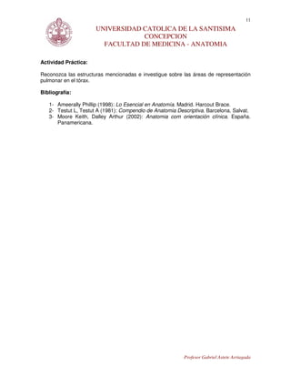 11
                      UNIVERSIDAD CATOLICA DE LA SANTISIMA
                                  CONCEPCION
                        FACULTAD DE MEDICINA - ANATOMIA

Actividad Práctica:

Reconozca las estructuras mencionadas e investigue sobre las áreas de representación
pulmonar en el tórax.

Bibliografía:

   1- Ameerally Phillip (1998): Lo Esencial en Anatomía. Madrid. Harcout Brace.
   2- Testut L, Testut A (1981): Compendio de Anatomia Descriptiva. Barcelona. Salvat.
   3- Moore Keith, Dalley Arthur (2002): Anatomia com orientación clínica. España.
      Panamericana.




                                                          Profesor Gabriel Astete Arriagada
 