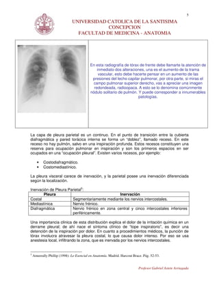 5
                              UNIVERSIDAD CATOLICA DE LA SANTISIMA
                                          CONCEPCION
                                FACULTAD DE MEDICINA - ANATOMIA




                                          En esta radiografía de tórax de frente debe llamarte la atención de
                                              inmediato dos alteraciones, una es el aumento de la trama
                                               vascular, esto debe hacerte pensar en un aumento de las
                                           presiones del lecho capilar pulmonar, por otra parte, si miras el
                                            campo pulmonar superior derecho, vas a apreciar una imagen
                                            redondeada, radioopaca. A esto se lo denomina comúnmente
                                          nódulo solitario de pulmón. Y puede corresponder a innumerables
                                                                      patologías.




La capa de pleura parietal es un continuo. En el punto de transición entre la cubierta
diafragmática y pared torácica interna se forma un “doblez”, llamado receso. En este
receso no hay pulmón, salvo en una inspiración profunda. Estos recesos constituyen una
reserva para ocupación pulmonar en inspiración y son los primeros espacios en ser
ocupados en una “ocupación pleural”. Existen varios recesos, por ejemplo:

      •    Costodiafragmático.
      •    Costomediastínico.

La pleura visceral carece de inervación, y la parietal posee una inervación diferenciada
según la localización.

Inervación de Pleura Parietal3:
       Pleura                                  Inervación
Costal                 Segmentariamente mediante los nervios intercostales.
Mediastínica           Nervio frénico.
Diafragmática          Nervio frénico en zona central y cinco intercostales inferiores
                       periféricamente.

Una importancia clínica de esta distribución explica el dolor de la irritación química en un
derrame pleural; de ahí nace el síntoma clínico de “tope inspiratorio”, es decir una
detención de la inspiración por dolor. En cuanto a procedimientos médicos, la punción de
tórax involucra atravesar la pleura costal, lo que causa dolor intenso. Por eso se usa
anestesia local, infiltrando la zona, que es inervada por los nervios intercostales.


3
    Ameerally Phillip (1998): Lo Esencial en Anatomía. Madrid. Harcout Brace. Pág. 52-53.


                                                                          Profesor Gabriel Astete Arriagada
 