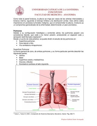 6
                               UNIVERSIDAD CATOLICA DE LA SANTISIMA
                                           CONCEPCION
                                 FACULTAD DE MEDICINA - ANATOMIA
Como toda la pared torácica, la pleura se irriga por vasos de las arterias intercostales y
torácica interna; siguiendo el drenaje linfático una distribución similar. Esto último cobra
importancia en procesos tumorales malignos, que al comprometer la pleura, involucra ya
un compromiso generalizado de la enfermedad, determinando un peor pronóstico.


Pulmones
Debido a su configuración histológica y contenido aéreo, los pulmones poseen una
consistencia blanda, que cede a la menor presión, produciendo un especial ruido y
sensación táctil llamado crepitación4.
Desde un punto de vista práctico, se puede dividir el estudio de los pulmones en:
   • Superficie pulmonar.
   • Cara lateral e hilio.
   • Vía ventilatoria intrapulmonar.

Superficie Pulmonar
La forma general de cono, de ambos pulmones, y su forma particular permite describir las
siguientes partes:
    • Vértice
    • Base
    • Superficie costal y mediastínica.
    • Cisuras y lóbulos
    • Escotadura cardíaca al lado izquierdo.




4
    Testut L, Testut A (1981): Compendio de Anatomia Descriptiva. Barcelona. Salvat. Pág. 666-71.


                                                                            Profesor Gabriel Astete Arriagada
 