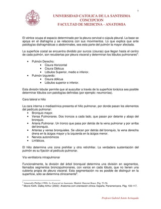 7
                              UNIVERSIDAD CATOLICA DE LA SANTISIMA
                                          CONCEPCION
                                FACULTAD DE MEDICINA - ANATOMIA


El vértice ocupa el espacio determinado por la pleura cervical o cúpula pleural. La base se
apoya en el diafragma y se relaciona con sus movimientos. Lo que explica que ante
patologías diafragmáticas o abdominales, sea esta parte del pulmón la mayor afectada.

La superficie costal se encuentra dividido por surcos (cisuras) que llegan hasta el centro
de cada pulmón, son recubiertas por pleura visceral y determinan los lóbulos pulmonares5:

       •   Pulmón Derecho:
                • Cisura Horizontal
                • Cisura Oblicua
                • Lóbulos Superior, medio e inferior.
       •   Pulmón Izquierdo:
                • Cisura oblicua
                • Lóbulos superior e inferior.

Esta división lobular permite que al auscultar a través de la superficie torácica sea posible
determinar lóbulos con patologías definidas (por ejemplo: neumonías).

Cara lateral e hilio

La cara interna o mediastínica presenta el hilio pulmonar, por donde pasan los elementos
del pedículo pulmonar:
    • Bronquio mayor.
    • Venas Pulmonares. Dos troncos a cada lado, que pasan por delante y abajo del
       bronquio.
    • Arteria Pulmonar. Un tronco que pasa por detrás de la vena pulmonar y por arriba
       del bronquio.
    • Arterias y venas bronquiales. Se ubican por detrás del bronquio, la vena derecha
       drena en la ácigos mayor y la izquierda en la ácigos menor.
    • Nervios autonómicos
    • Linfáticos.

El hilio determina una zona prehiliar y otra retrohiliar. La verdadera sustentación del
pulmón es su fijación al pedículo pulmonar.

Vía ventilatoria intrapulmonar

Funcionalmente, la división del árbol bronquial determina una división en segmentos,
llamados segmentos broncopulmonares, con varios en cada lóbulo, que no tienen una
cubierta propia de pleura visceral. Esta segmentación no es posible de distinguir en la
superficie, sólo se determina clínicamente6.

5
    Ameerally Phillip (1998): Lo Esencial en Anatomía. Madrid. Harcout Brace. Pág. 53-56.
6
    Moore Keith, Dalley Arthur (2002): Anatomia com orientación clínica. España. Panamericana. Pág. 103-117.




                                                                           Profesor Gabriel Astete Arriagada
 