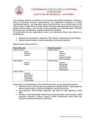 8
                            UNIVERSIDAD CATOLICA DE LA SANTISIMA
                                        CONCEPCION
                              FACULTAD DE MEDICINA - ANATOMIA

Los bronquios mayores se dividen en los bronquios secundarios (lobulares o lobares) y
estos en bronquios terciarios (segmentarios). Los segmentos constituyen la unidad
funcional del pulmón. Los segmentos tienen forma de cuña, con el vértice hacia la raíz
(hilio). Existen 10 segmentos en cada pulmón. Dentro de cada segmento los bronquios se
dividen muchas veces, y una vez que no tiene cartílago en sus paredes pasa a llamarse
bronquiolo, que al subdividirse, originan finalmente los alvéolos.
El conocimiento de esta segmentación tienen una importancia clínica, que radica en la
posibilidad de:

    •   Detectar por auscultación, radiografía, TAC; lóbulos o segmentos comprometidos.
    •   Realizar resecciones por diversas patologías (tumores por ejemplo).

Segmentación bronco pulmonar:

Pulmón Derecho                               Pulmón Izquierdo
Lóbulo Superior:                             Lóbulo Superior:
           - Apical                                       - Apical
           - Posterior                                    - Posterior
           - Anterior                                     - Anterior
                                                          - Superior (língula)
                                                          - Interior (língula)
Lóbulo Medio:                                Lóbulo Inferior:
           - Lateral                                      - Superior
           - Medial                                       - Anterobasal
                                                          - Mediobasal
                                                          - Laterobasal
                                                          - Posterobasal
Lóbulo Inferior:
             -     Superior
             -     Anterobasal
             -     Mediobasal
             -     Laterobasal
             -     Posterobasal

Esta división es acompañada por los elementos del hilio, con las siguientes funciones:
   • Arteria pulmonar. Lleva sangre poco oxigenada al capilar alveolar. Cada segmento
       tiene su propia arteria, al igual que linfáticos y nervios autónomos.
   • Vena pulmonar. Retira sangre oxigenada. Hay venas en cada segmento y entre
       ellos.
   • Arterias y venas bronquiales. Determinan la vascularización a los bronquios, tejido
       conjuntivo (estroma) y pleura visceral. Existen anastomosis entre estos dos
       sistemas vasculares (bronquial y pulmonar).




                                                              Profesor Gabriel Astete Arriagada
 