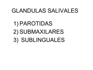 GLANDULAS SALIVALES
1) PAROTIDAS
2) SUBMAXILARES
3) SUBLINGUALES
 