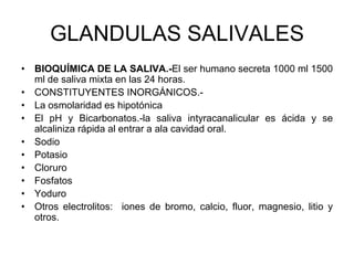 GLANDULAS SALIVALES
• BIOQUÍMICA DE LA SALIVA.-El ser humano secreta 1000 ml 1500
ml de saliva mixta en las 24 horas.
• CONSTITUYENTES INORGÁNICOS.-
• La osmolaridad es hipotónica
• El pH y Bicarbonatos.-la saliva intyracanalicular es ácida y se
alcaliniza rápida al entrar a ala cavidad oral.
• Sodio
• Potasio
• Cloruro
• Fosfatos
• Yoduro
• Otros electrolitos: iones de bromo, calcio, fluor, magnesio, litio y
otros.
 