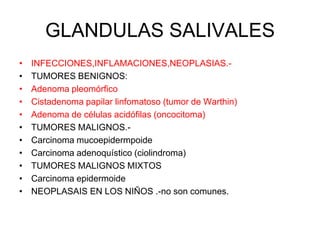 GLANDULAS SALIVALES
• INFECCIONES,INFLAMACIONES,NEOPLASIAS.-
• TUMORES BENIGNOS:
• Adenoma pleomórfico
• Cistadenoma papilar linfomatoso (tumor de Warthin)
• Adenoma de células acidófilas (oncocitoma)
• TUMORES MALIGNOS.-
• Carcinoma mucoepidermpoide
• Carcinoma adenoquístico (ciolindroma)
• TUMORES MALIGNOS MIXTOS
• Carcinoma epidermoide
• NEOPLASAIS EN LOS NIÑOS .-no son comunes.
 