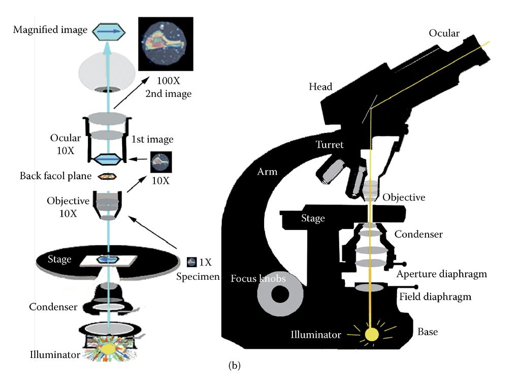 17 Forensic Science Powerpoint Chapter 17 Microanalysis Of Exam
