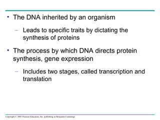 • The DNA inherited by an organism
– Leads to specific traits by dictating the
synthesis of proteins

• The process by which DNA directs protein
synthesis, gene expression
– Includes two stages, called transcription and
translation

Copyright © 2005 Pearson Education, Inc. publishing as Benjamin Cummings

 
