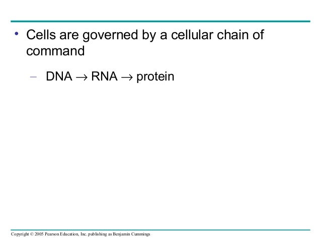 17 genetoprotein text 17 genetoprotein text