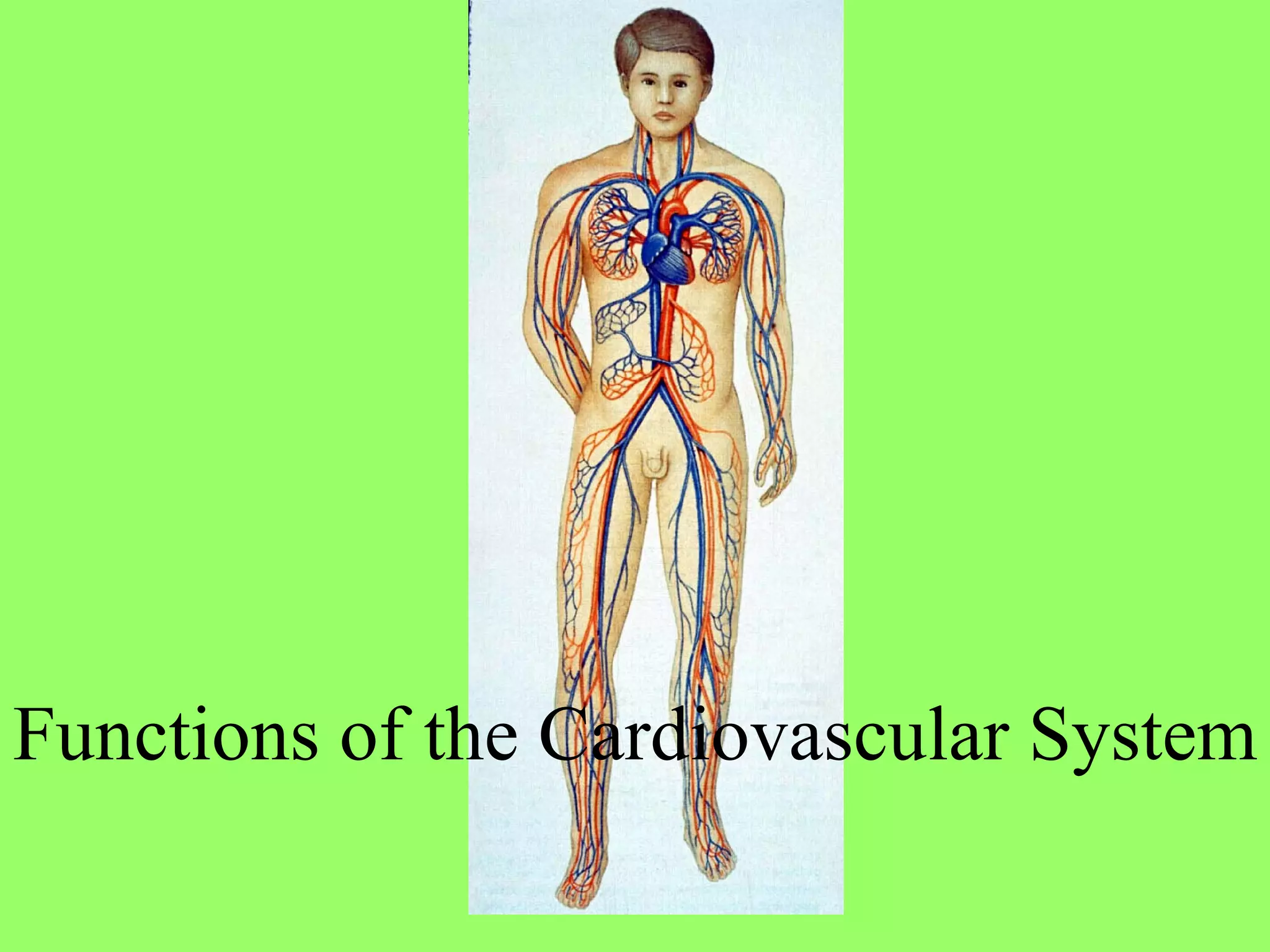 Functions of the Cardiovascular System 