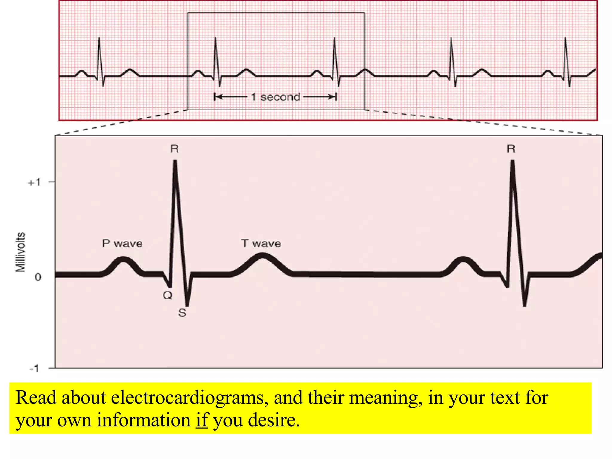 Read about electrocardiograms, and their meaning, in your text for your own information  if  you desire. 