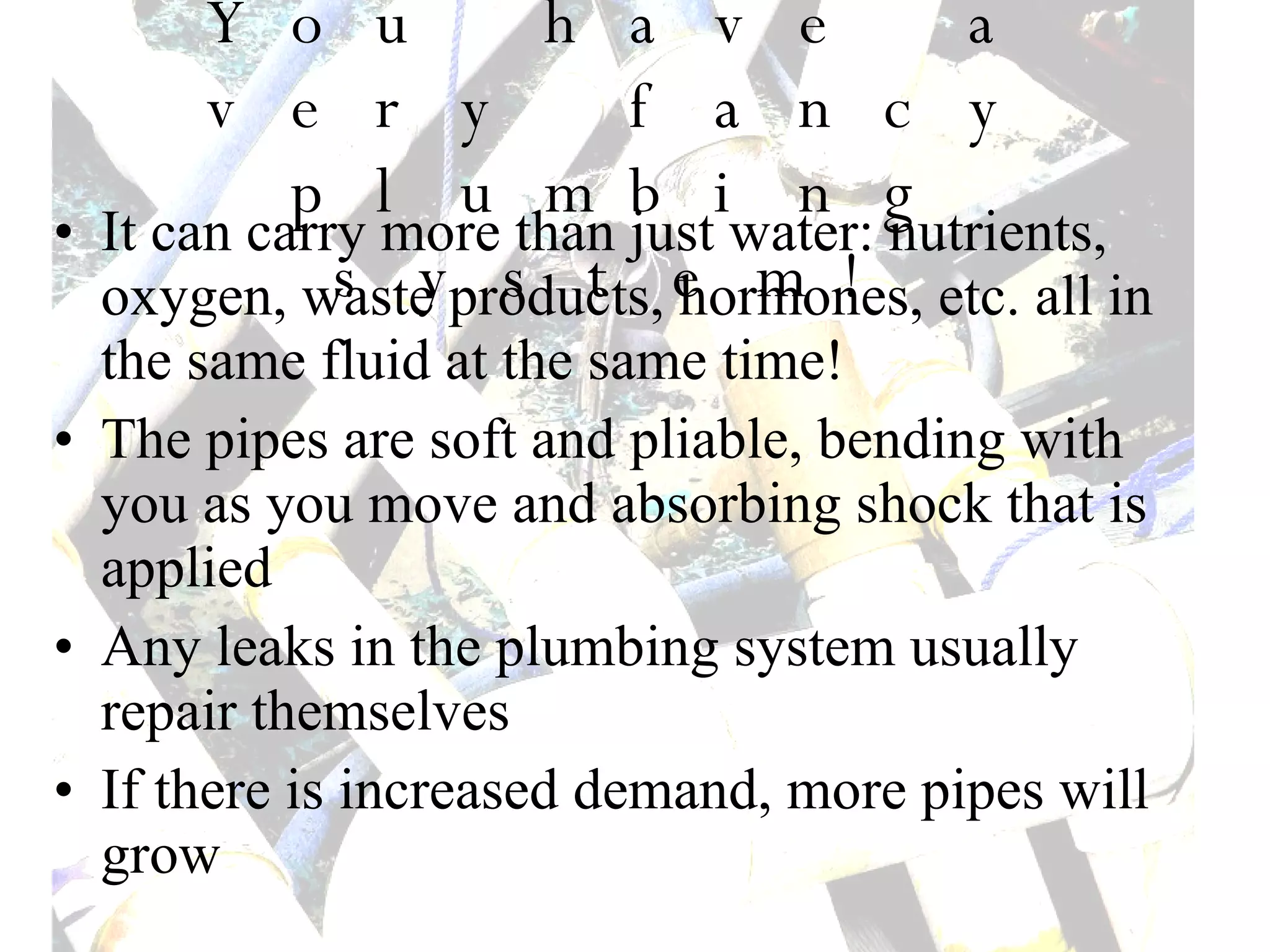 You have a very fancy plumbing system! It can carry more than just water: nutrients, oxygen, waste products, hormones, etc. all in the same fluid at the same time! The pipes are soft and pliable, bending with you as you move and absorbing shock that is applied Any leaks in the plumbing system usually repair themselves If there is increased demand, more pipes will grow 