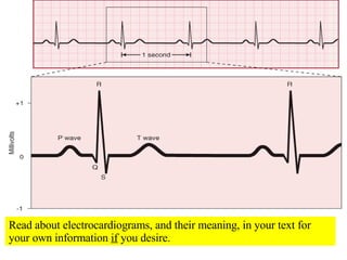 Read about electrocardiograms, and their meaning, in your text for your own information  if  you desire. 