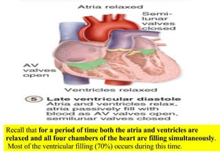 Recall that  for a period of time both the atria and ventricles are relaxed and all four chambers of the heart are filling simultaneously .  Most of the ventricular filling (70%) occurs during this time. 