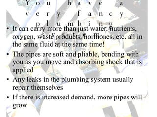 You have a very fancy plumbing system! It can carry more than just water: nutrients, oxygen, waste products, hormones, etc. all in the same fluid at the same time! The pipes are soft and pliable, bending with you as you move and absorbing shock that is applied Any leaks in the plumbing system usually repair themselves If there is increased demand, more pipes will grow 