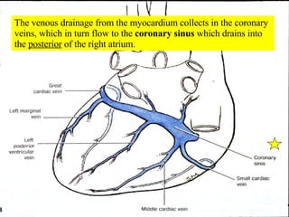 The venous drainage from the myocardium collects in the coronary veins, which in turn flow to the  coronary sinus  which drains into the  posterior  of the right atrium. 
