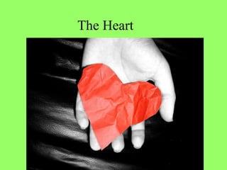 The Heart 