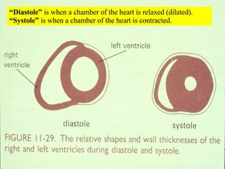 “ Diastole”  is when a chamber of the heart is relaxed (dilated).  “Systole”  is when a chamber of the heart is contracted. 