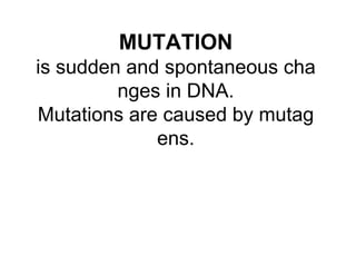 17-heredity-beger-for-students.pdf
