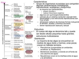 Algas   Características
        • Grupo de organismos eucariotas que comparten
          algunas características morfológicas,
          reproductoras, ecológicas y bioquímica
            – la mayoría son fotoautótrofos
                • poseen clorofila a
                • realizan fotosíntesis oxigénica
            – algunos son quimiorganoheterotrófos
            – carecen de un sistema conductor vascular bien
              desarrollado y sus estructuras reproductoras son
              muy simple
            – almacenan carbono de diversas formas incluyendo
              el almidón, aceites y diversos azucares
            – tienen reproducción asexual y sexual

          Estructura
        • El cuerpo del alga se denomina talo y puede
            ser desde células pequeñas hasta grandes
            estructuras multicelulares
          Distribución
         • La mayoría de las algas se encuentran en
             medios de agua dulce y marinos; unas pocas
             crecen en hábitats terrestre.
            – Planctónicas (suspendidas en ambientes
              acuáticos; ej. fitoplancton)
            – Bentónicas (ancladas y viviendo en el fondo de
              una columna de agua)
            – Neustónicas (viven en la interfase entre el agua
              y la atmósfera)
 