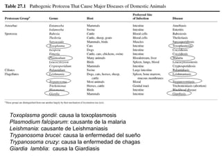 Toxoplasma gondii: causa la toxoplasmosis
Plasmodium falciparum: causante de la malaria
Leishmania: causante de Leishmaniasis
Trypanosoma brucei: causa la enfermedad del sueño
Trypanosoma cruzy: causa la enfermedad de chagas
Giardia lamblia: causa la Giardiasis
 