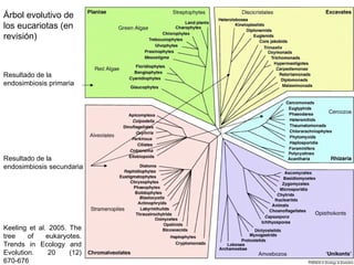 Árbol evolutivo de
los eucariotas (en
revisión)



Resultado de la
endosimbiosis primaria




Resultado de la
endosimbiosis secundaria




Keeling et al. 2005. The
tree    of    eukaryotes.
Trends in Ecology and
Evolution.     20    (12)
670-676
 