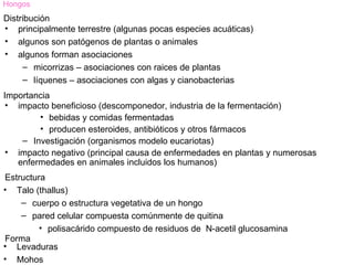 Hongos
Distribución
• principalmente terrestre (algunas pocas especies acuáticas)
• algunos son patógenos de plantas o animales
• algunos forman asociaciones
     – micorrizas – asociaciones con raices de plantas
     – líquenes – asociaciones con algas y cianobacterias
Importancia
 • impacto beneficioso (descomponedor, industria de la fermentación)
        • bebidas y comidas fermentadas
        • producen esteroides, antibióticos y otros fármacos
    – Investigación (organismos modelo eucariotas)
 • impacto negativo (principal causa de enfermedades en plantas y numerosas
   enfermedades en animales incluidos los humanos)
Estructura
• Talo (thallus)
    – cuerpo o estructura vegetativa de un hongo
    – pared celular compuesta comúnmente de quitina
         • polisacárido compuesto de residuos de N-acetil glucosamina
Forma
• Levaduras
• Mohos
 