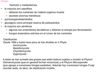 Hongos
         Nutrición y metabolismos
•    la mayoría son saprófitos
       – obtienen los nutrientes de materia orgánica muerta
       – secretan enzimas hidrolíticos
•    quimioorganoheterótrofos
•    glucógeno como principal reserva de polisacáridos
•    la mayoría son aeróbicos
       – algunos son anaeróbicos facultativos y obtienen la energía por fermentación
       – hongos anaerobios estrictos en el rumen de los rumiantes

    Clasificación
    Desde 1994 y hasta hace poco se han dividido en 4 Phyla:
             Ascomycota
             Basidiomycota
             Chytridiomycota
             Zygomycota

    A estos se han sumado dos grupos que están todavía sujetos a revisión el Phylum
    Glomeromycota (que en general forman micorrizas) y el Phylum Microsporidia
    (que agrupa a numerosos hongos parásitos). Además hay numerosos hongos Fungi
    incertae sedis, es decir, de clasificación incierta.
 