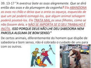 39. 13-17 "A avestruz bate as asas alegremente. Que se dirá
então das asas e da plumagem da cegonha? Ela ABANDONA
os ovos no chão e deixa que a areia os aqueça, esquecida de
que um pé poderá esmagá-los, que algum animal selvagem
poderá pisoteá-los. Ela TRATA MAL os seus filhotes, como se
não fossem dela, e NÃO SE IMPORTA SE O SEU TRABALHO É
INÚTIL. ISSO PORQUE DEUS NÃO LHE DEU SABEDORIA NEM
PARCELA ALGUMA DE BOM SENSO.”
De certos animais, diferentemente do homem que dispõe de
sabedoria e bom senso, não é cobrado o cuidado de uns para
com os outros.
 