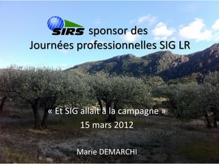 sponsor des
Journées professionnelles SIG LR




   « Et SIG allait à la campagne »
            15 mars 2012

          Marie DEMARCHI
 