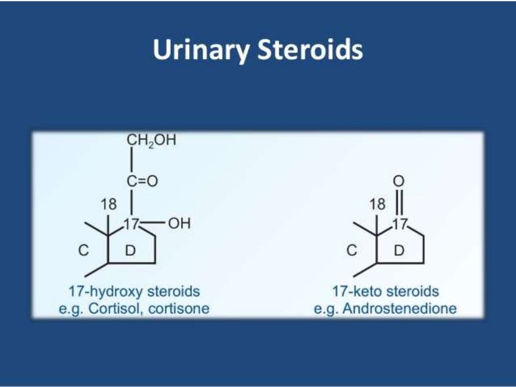 17 ketosteroids