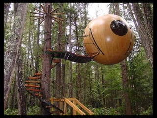 Use of the Imagination