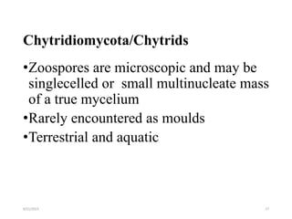 Medical Mycology - Taxonomic Classiffication of Fungi 2021.pptx