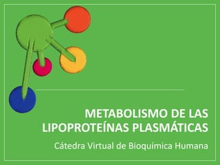 METABOLISMO DE LAS
LIPOPROTEÍNAS PLASMÁTICAS
Cátedra Virtual de Bioquímica Humana
 