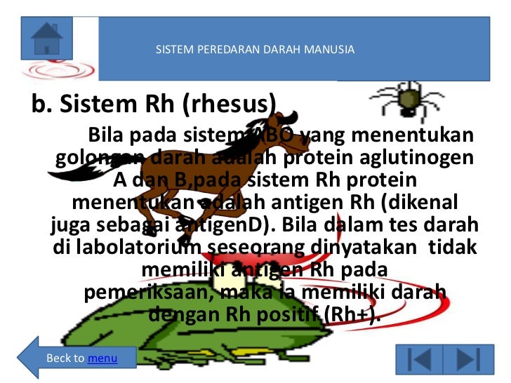 17.moh. amuy saepudin