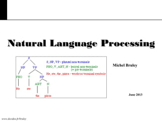 www.decideo.fr/bruley
Natural Language ProcessingNatural Language Processing
June 2013
Michel Bruley
 