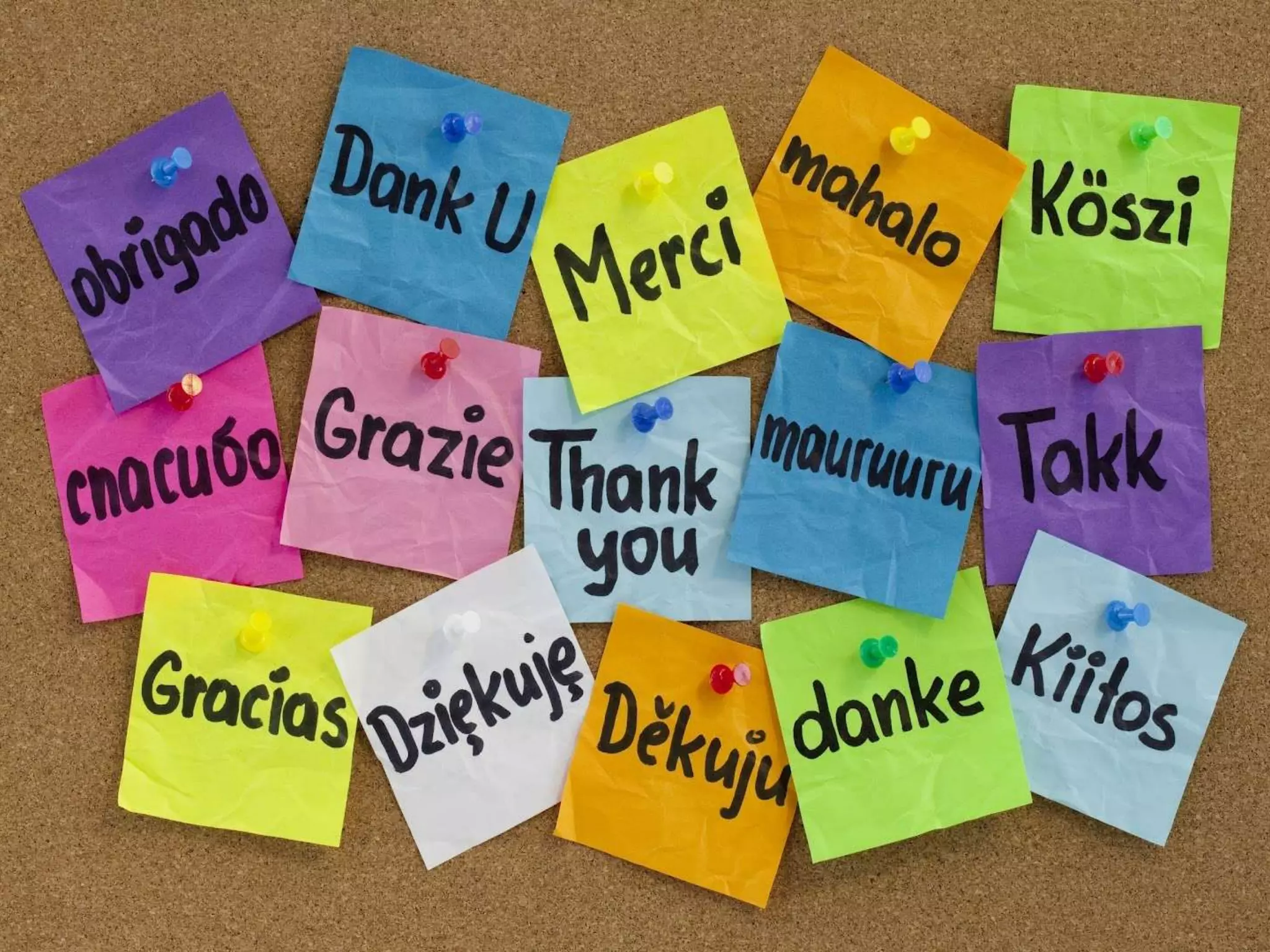 Understanding how media works | PPTX