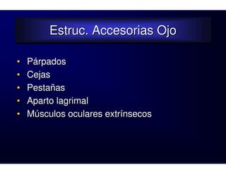 Estruc. Accesorias Ojo
         Estruc. Accesorias Ojo

•   Párpados
•   Cejas
•   Pestañas
•   Aparto lagrimal
•   Músculos oculares extrínsecos
 