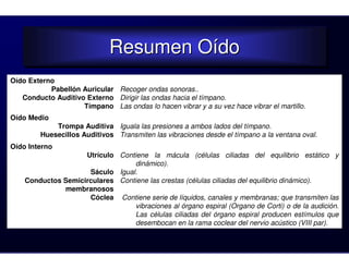 Resumen Oído
                             Resumen Oído
Oído Externo
           Pabellón Auricular Recoger ondas sonoras..
   Conducto Auditivo Externo Dirigir las ondas hacia el tímpano.
                    Tímpano Las ondas lo hacen vibrar y a su vez hace vibrar el martillo.
Oído Medio
             Trompa Auditiva Iguala las presiones a ambos lados del tímpano.
         Huesecillos Auditivos Transmiten las vibraciones desde el tímpano a la ventana oval.
Oído Interno
                    Utrículo Contiene la mácula (células ciliadas del equilibrio estático y
                                 dinámico).
                     Sáculo Igual.
    Conductos Semicirculares Contiene las crestas (células ciliadas del equilibrio dinámico).
              membranosos
                     Cóclea Contiene serie de líquidos, canales y membranas; que transmiten las
                                 vibraciones al órgano espiral (Organo de Corti) o de la audición.
                                 Las células ciliadas del órgano espiral producen estímulos que
                                 desembocan en la rama coclear del nervio acústico (VIII par).
 
