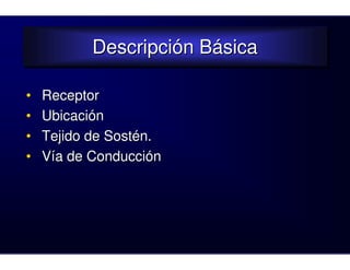 Descripción Básica
           Descripción Básica

•   Receptor
•   Ubicación
•   Tejido de Sostén.
•   Vía de Conducción
 