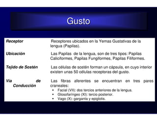 Gusto
                                  Gusto

Receptor                 Receptores ubicados en la Yemas Gustativas de la
                        lengua (Papilas).
Ubicación               Las Papilas de la lengua, son de tres tipos: Papilas
                        Caliciformes, Papilas Fungiformes, Papilas Filiformes.

Tejido de Sostén        Las células de sostén forman un cápsula, en cuyo interior
                        existen unas 50 células receptoras del gusto.

Vía                de   Las fibras aferentes se encuentran en tres pares
      Conducción        craneales:
                            Facial (VII): dos tercios anteriores de la lengua.
                            Glosofaríngeo (XI): tercio posterior.
                            Vago (X): garganta y epiglotis.
 