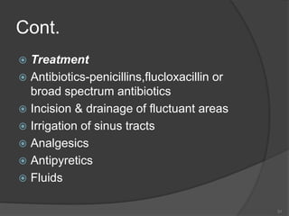 Cont.
 Treatment
 Antibiotics-penicillins,flucloxacillin or
broad spectrum antibiotics
 Incision & drainage of fluctuant areas
 Irrigation of sinus tracts
 Analgesics
 Antipyretics
 Fluids
31
 