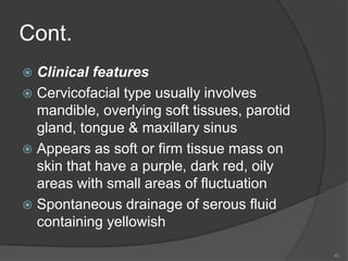 Cont.
 Clinical features
 Cervicofacial type usually involves
mandible, overlying soft tissues, parotid
gland, tongue & maxillary sinus
 Appears as soft or firm tissue mass on
skin that have a purple, dark red, oily
areas with small areas of fluctuation
 Spontaneous drainage of serous fluid
containing yellowish
40
 