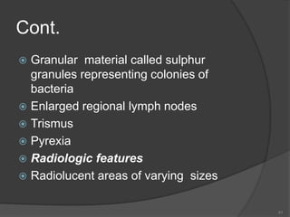 Cont.
 Granular material called sulphur
granules representing colonies of
bacteria
 Enlarged regional lymph nodes
 Trismus
 Pyrexia
 Radiologic features
 Radiolucent areas of varying sizes
41
 
