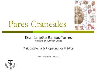 Pares Craneales Dra. Janette Ramos Torres Maestría en Nutrición Clínica Fisiopatología & Propedéutica Médica Fac. Medicina – U.A.G 
