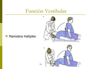 Función  Vestibular Maniobra Hallpike 